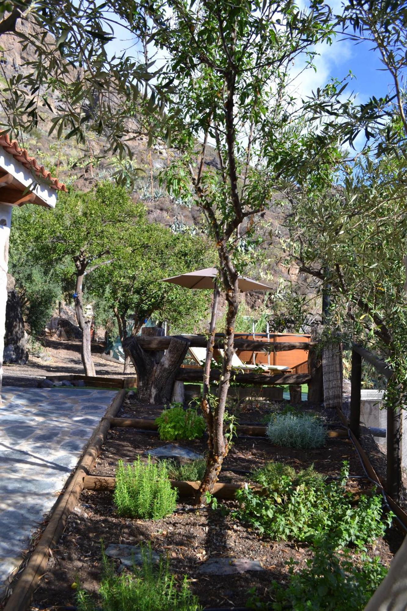 Finca Mariola - Alpendre San Bartolome de Tirajana  Exterior photo